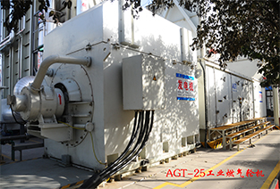 巨茎挺进李淑芬的体内视频